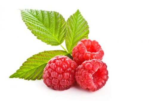 raspberry-leaf-tea