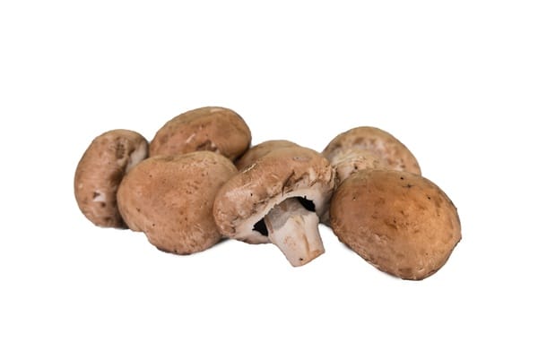 swiss-brown-mushroom