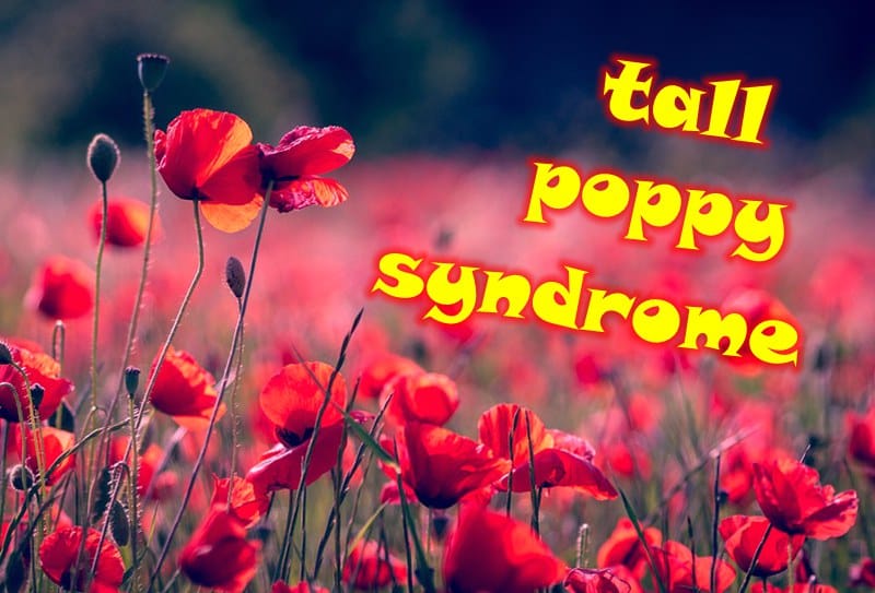 tall-poppy-syndrome