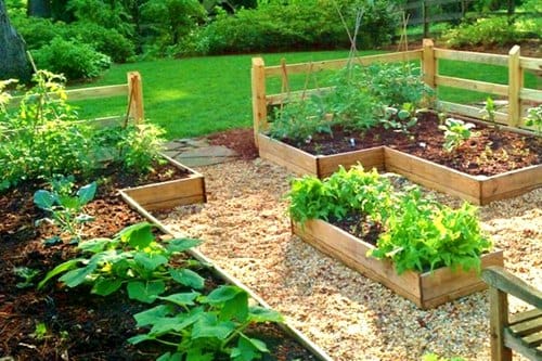 your-garden-soil-maybe-dangerous-for-growing-vege